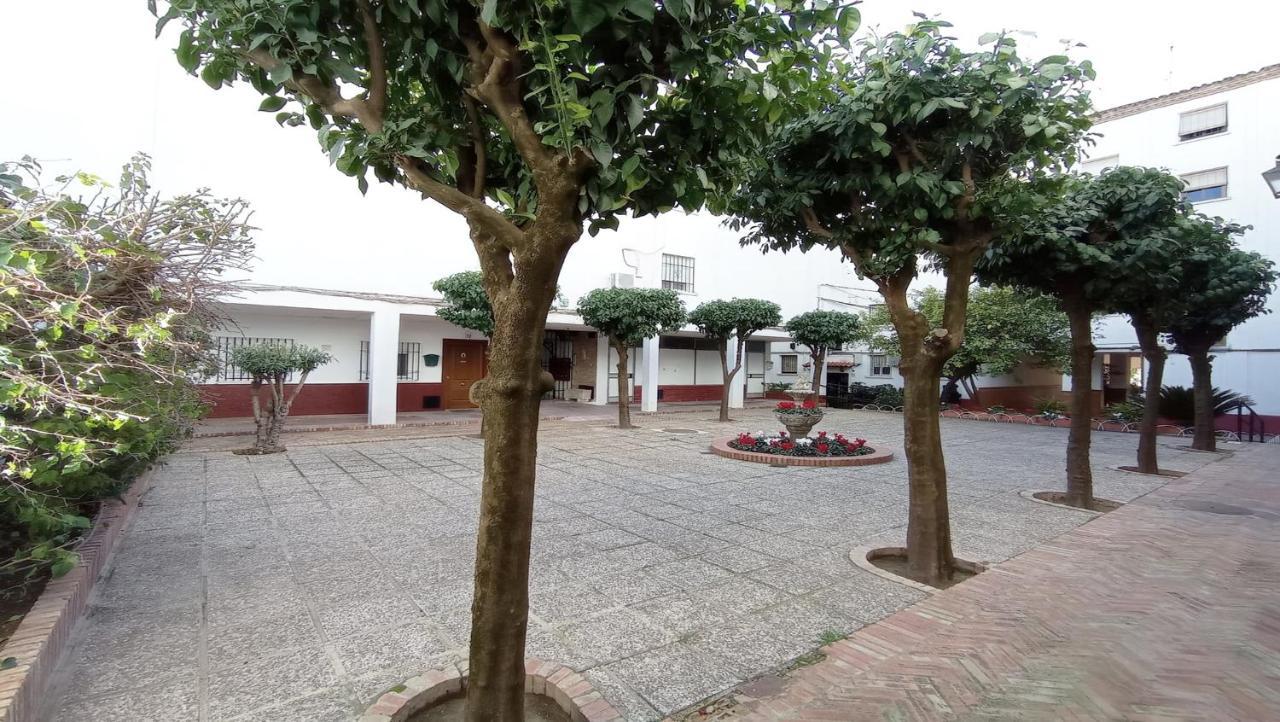 קורדובה Apartamento Conde De Priego מראה חיצוני תמונה